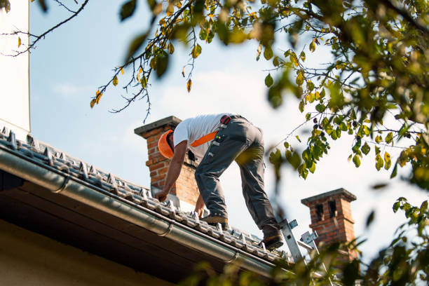 Best Storm Damage Roof Repair  in Cologne, NJ