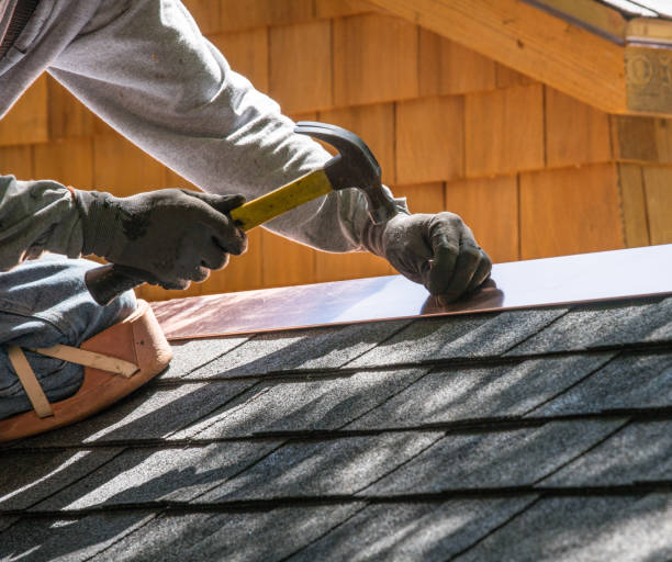 Best Roof Gutter Cleaning  in Cologne, NJ